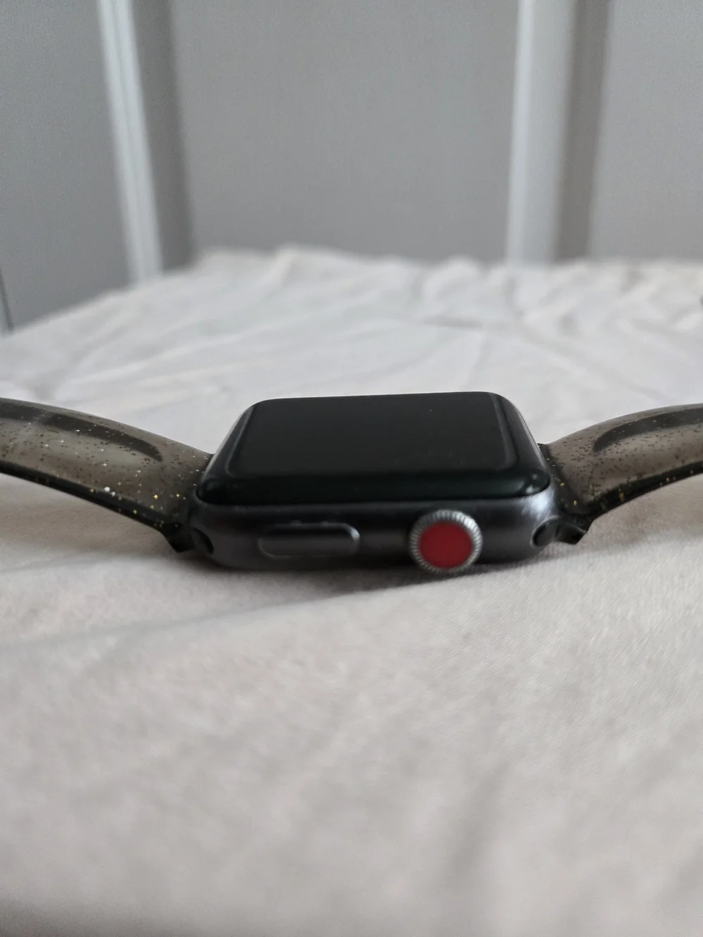 Apple Watch with Interchangeable Bands